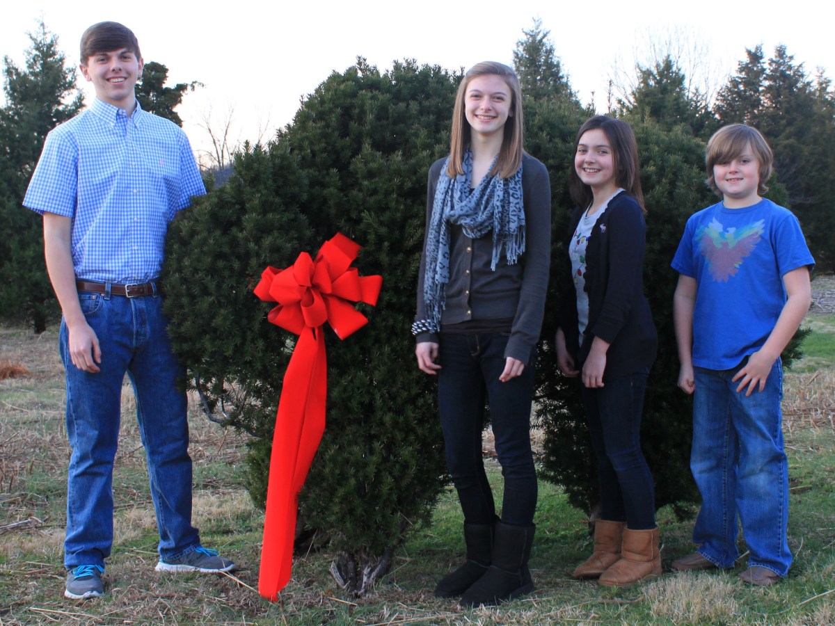 Christmas Letter (2011)