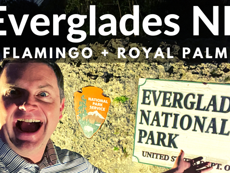 Everglades National Park – Flamingo and Royal Palm&nbsp;Area