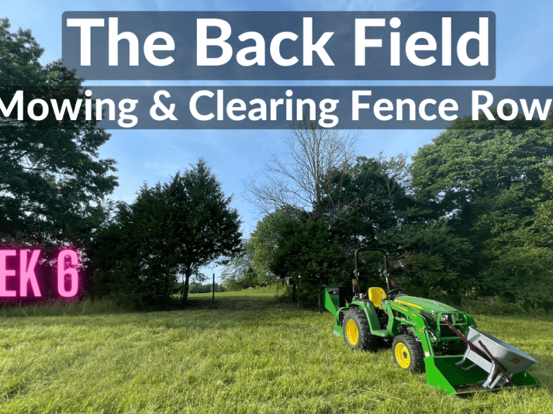 The Back Field – Mowing and Clearing Fence Rows (DeanoFarms: Week&nbsp;6)