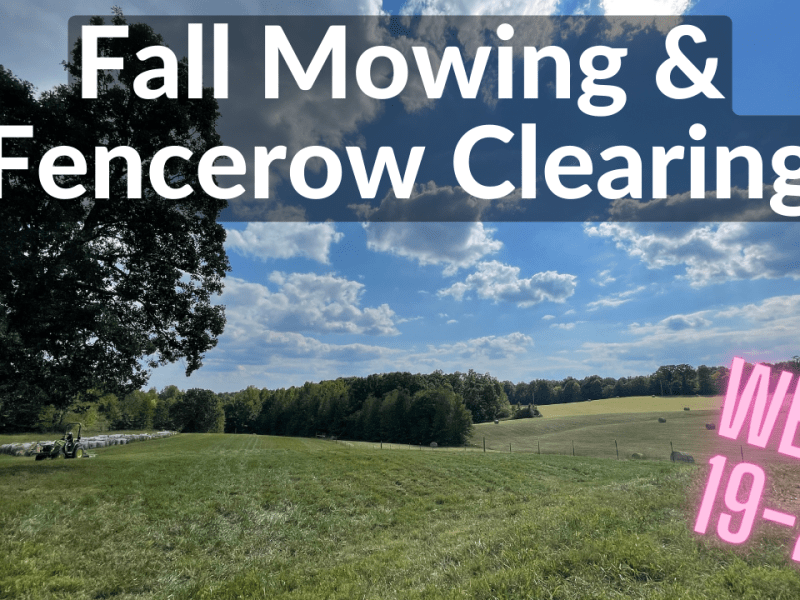 Fall Mowing and Clearing Fencerows (DeanoFarms: Week&nbsp;19)