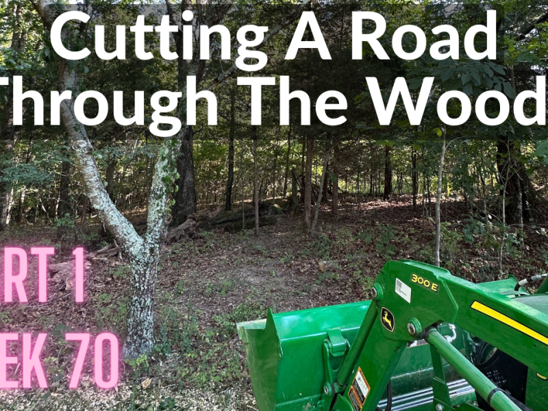 Cutting A Road Through The Woods – Part 1 (DeanoFarms: Week&nbsp;70)