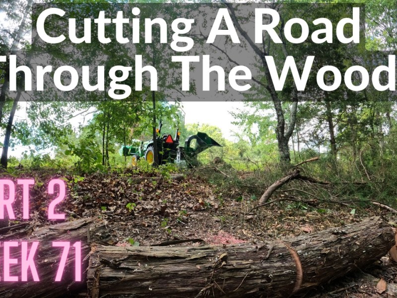 Cutting A Road Through The Woods – Part 2 (DeanoFarms: Week&nbsp;71)