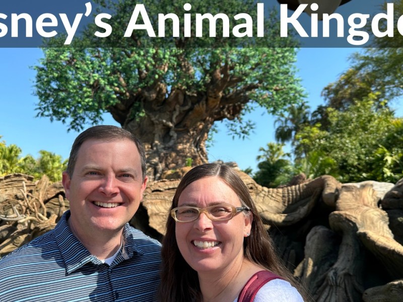 Disney’s Animal Kingdom