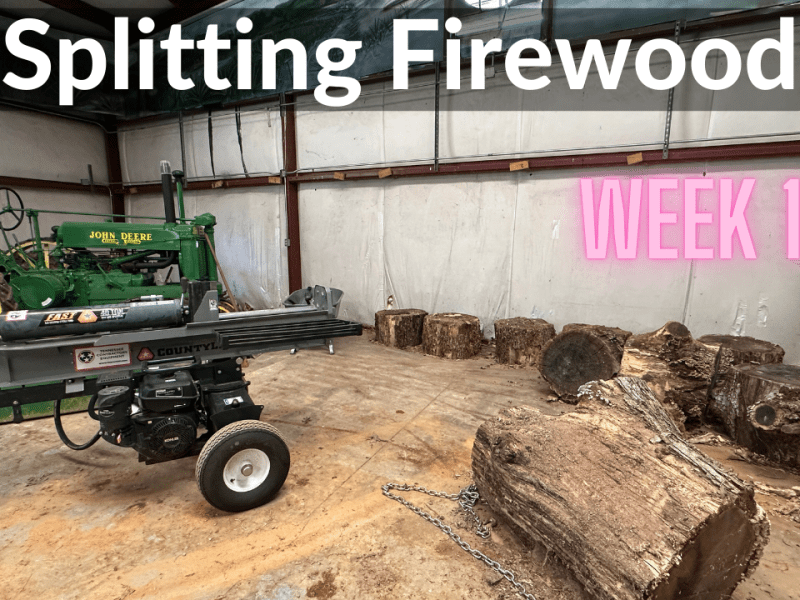 Splitting Firewood (DeanoFarms – Week&nbsp;124)