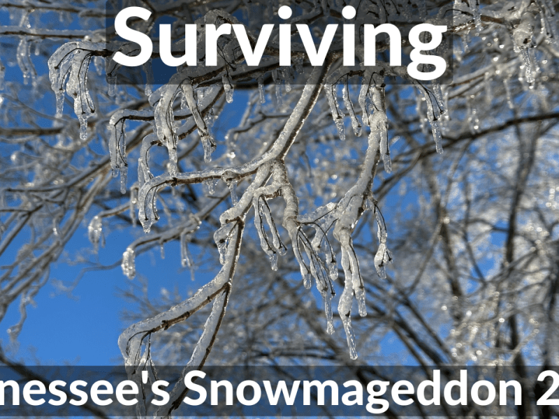 Surviving Tennessee’s Snowmageddon&nbsp;2026
